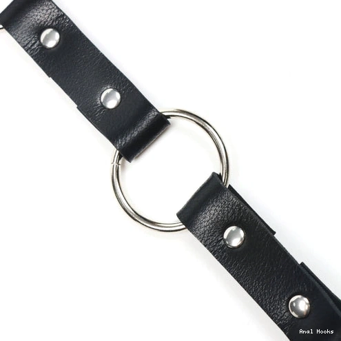 Anal Hooks 5853 EverydayUse Hook and Collar Kinky Anal Leash with 1006